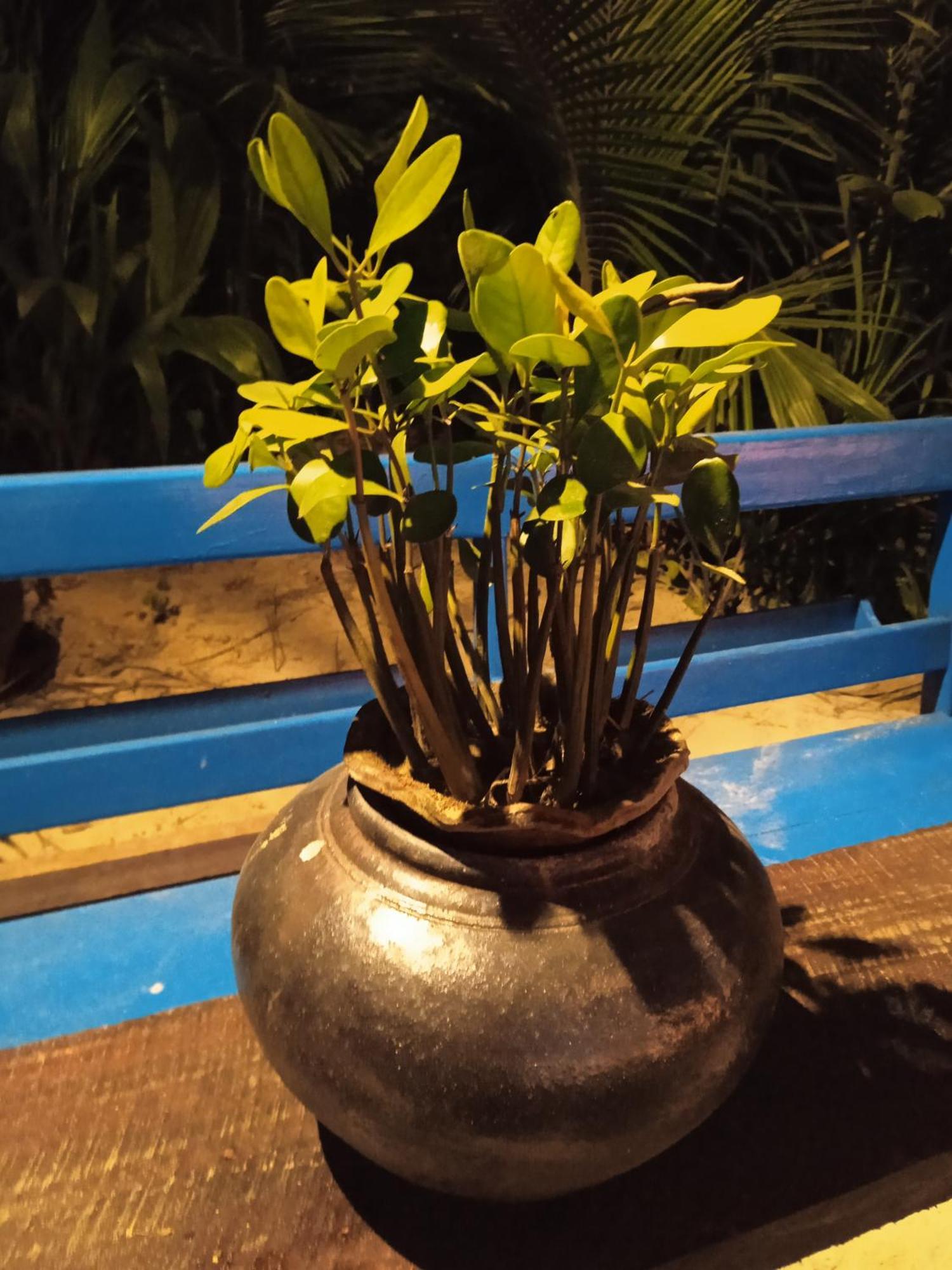 Oliver'S Laguna Eco Lodge Hotel 额布里 外观 照片