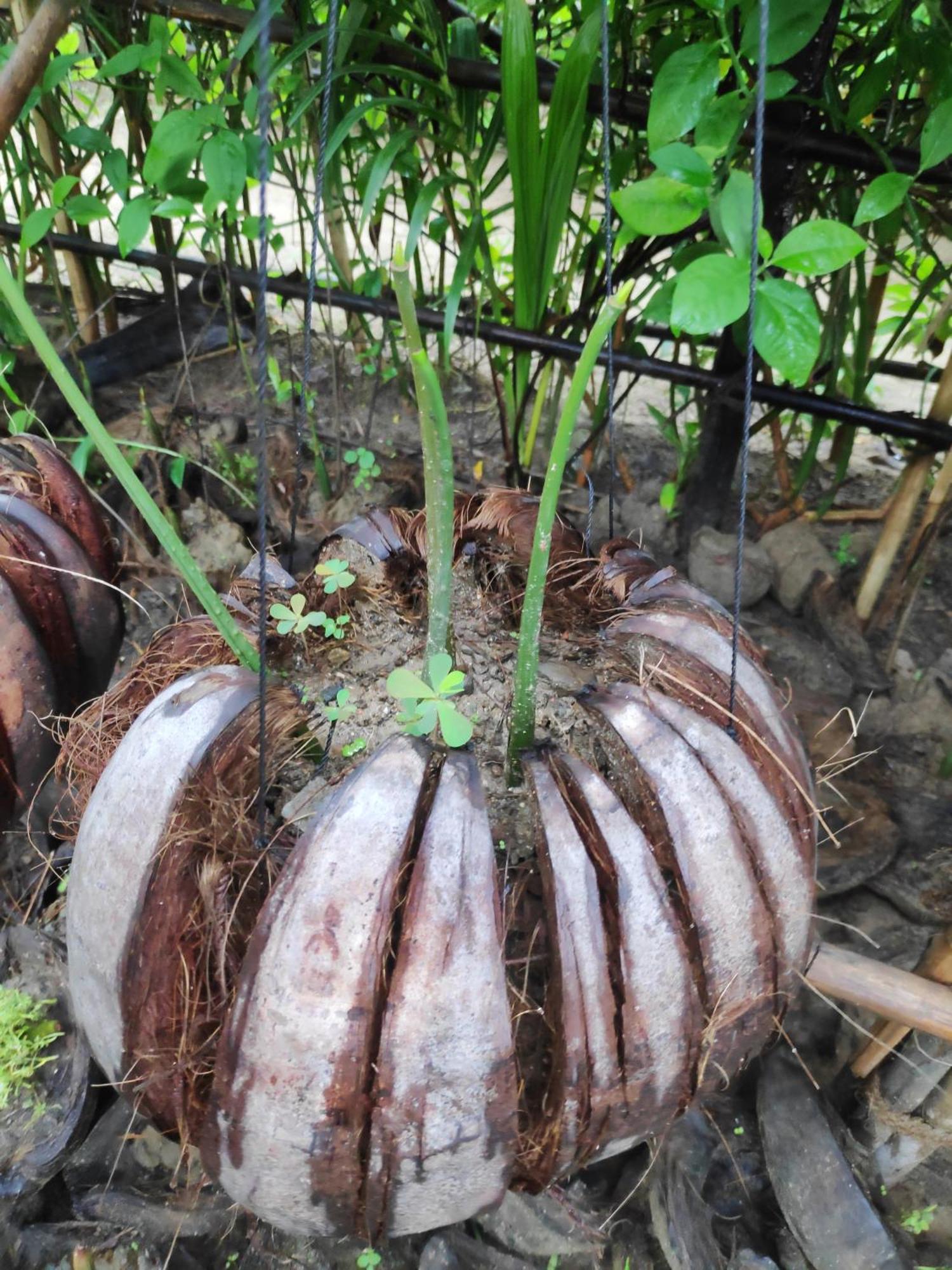 Oliver'S Laguna Eco Lodge Hotel 额布里 外观 照片